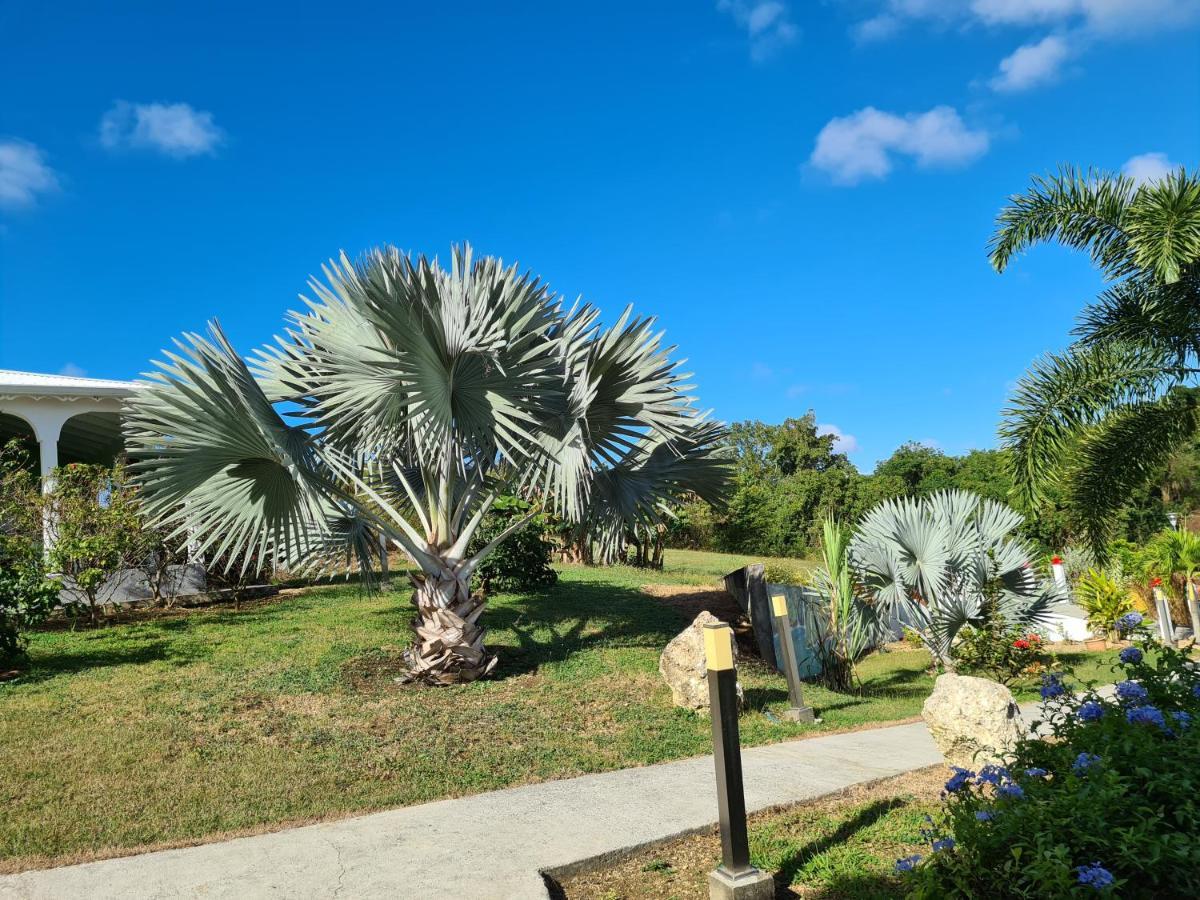Les Villas De Boisvin Le Moule Dış mekan fotoğraf