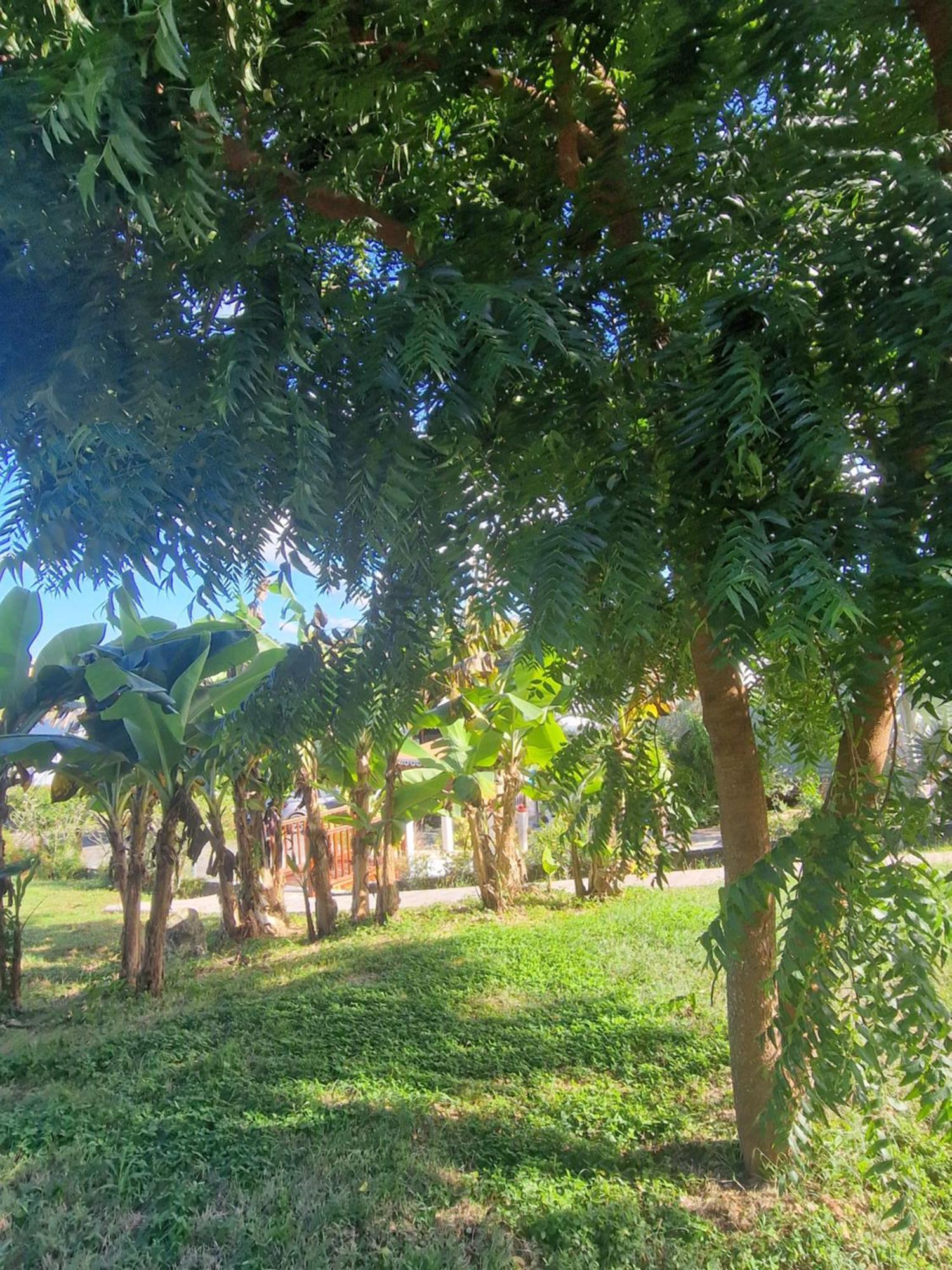 Les Villas De Boisvin Le Moule Dış mekan fotoğraf