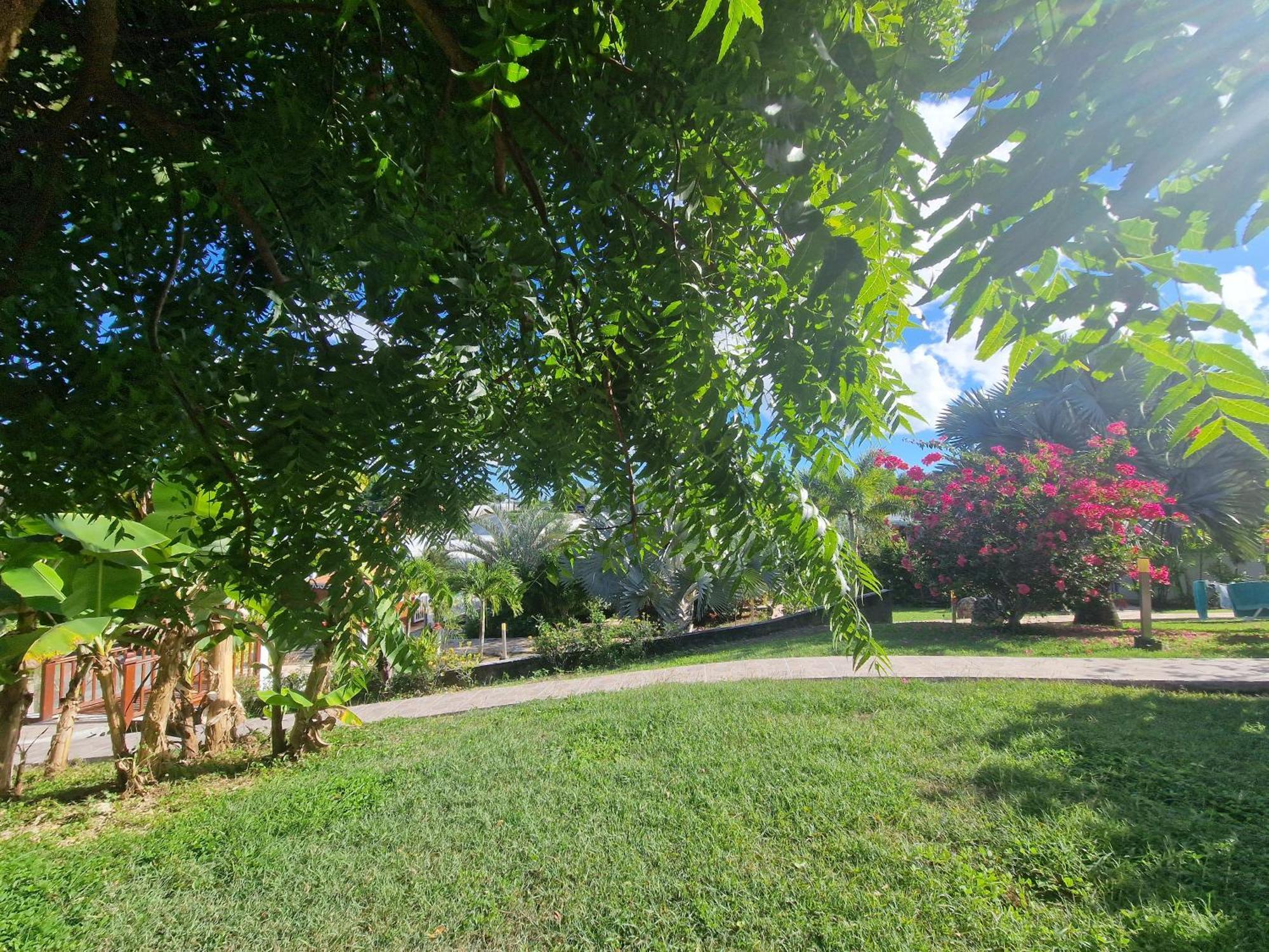 Les Villas De Boisvin Le Moule Dış mekan fotoğraf